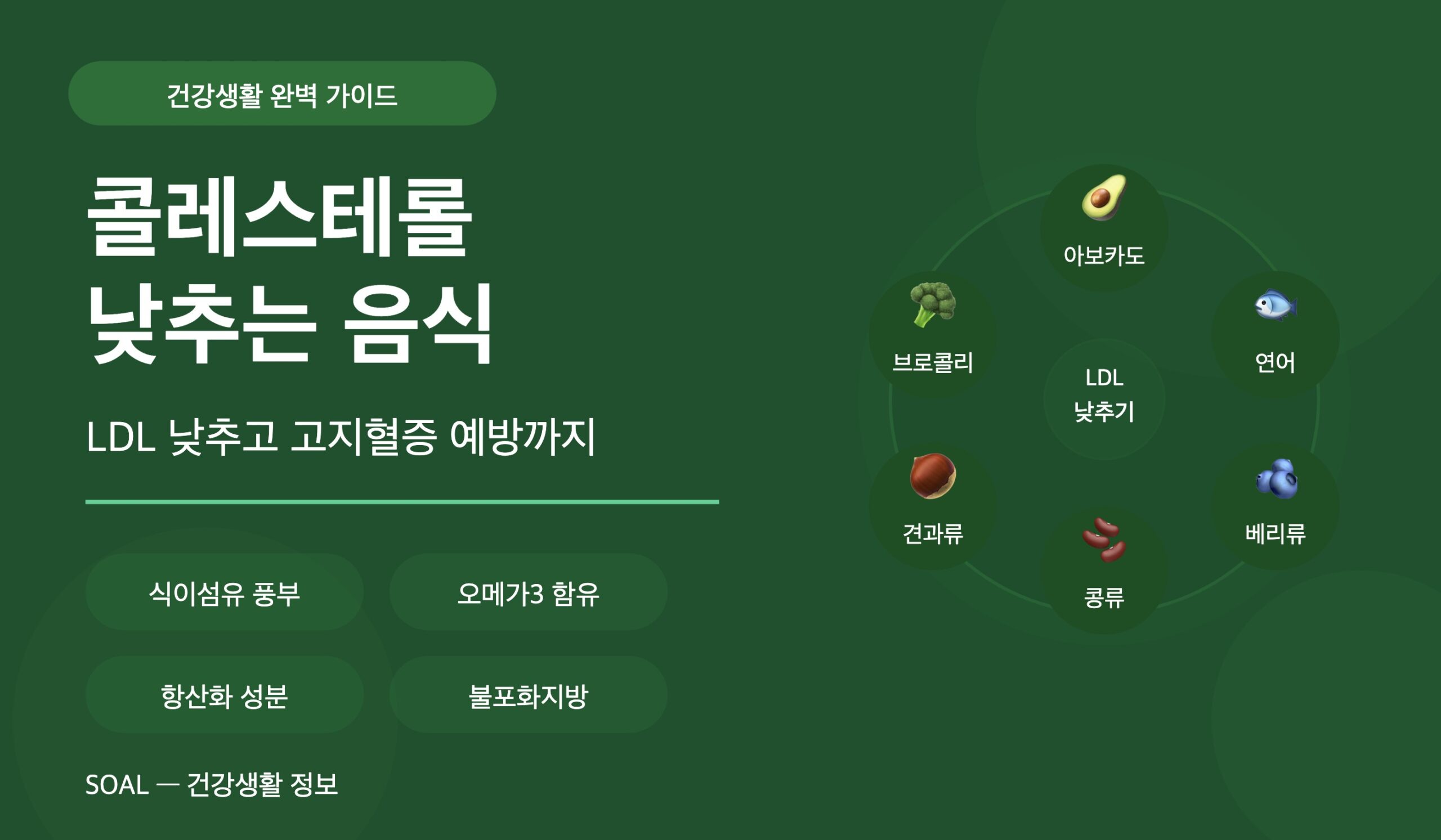 건강정보 이미지